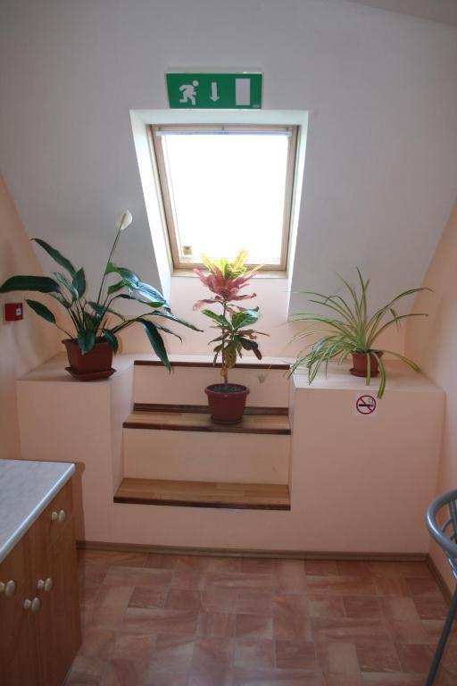 Old Town Hostel هابسالو الغرفة الصورة